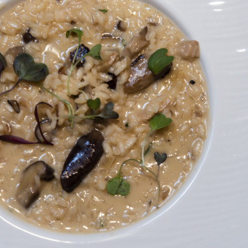 Risotto de setas variadas
